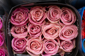 Roses pink, red. Wholesale floristic base, shop with flowers for Valentine's Day on February 14 or International Women's Day on March 8.