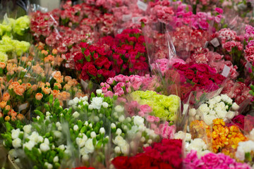 Multi-colored carnation flower, dianthus, red, pink, yellow, white, orange. Wholesale floristic base, shop with flowers for Valentine's Day on February 14 or International Women's Day on March 8.
