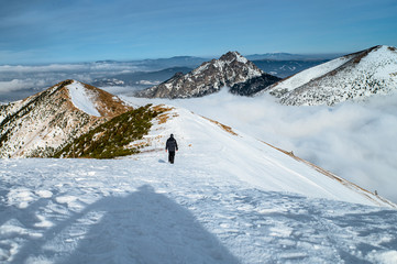 Fototapeta na wymiar Hiker in winter mountains, High Quality Photo, Fatra in Slovakia