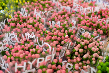 Multi-colored flowers berries hypericum coco casino, pink, green Wholesale floristic base, shop with flowers for Valentine's Day on February 14 or International Women's Day on March 8.