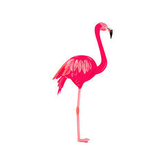 Naklejka premium Pink flamingo vector illustration. Design element isolated on white background.