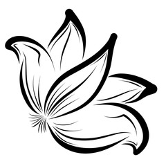 flower with large petals, black pattern on a white background