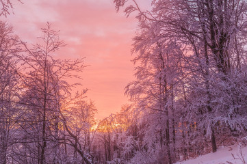 Sunset in winter mountains, frozen white trees and colorful sky