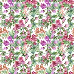 Tuinposter Beautiful floral background with tulip-flowered pelargoniums flowers and leaves on white background. Geranium flowers. Seamless botanical pattern. Watercolor painting. Hand painted illustration. © katiko2016