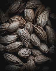 Inshell almonds pattern moody food photography