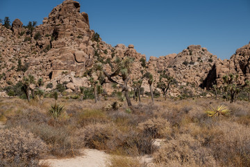 Mountains in Joshua tree desert national park, california