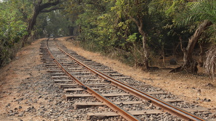Railway track laid down in the dense forest of India. Indian rail network is spread across the country.