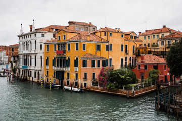 canal and ancient buildings with plants in Venice, Italy