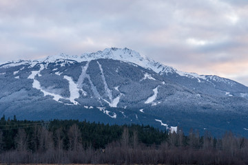 whistler mountain