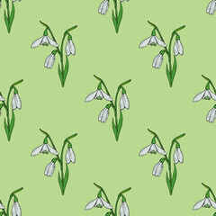 Seamless background with lovely snowdrops on light green background. Endless vector flowers pattern for your design.