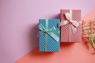 gift boxes with ribbon and bow isolated on pastel background