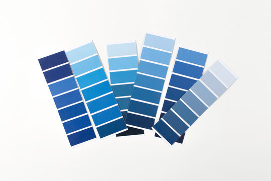 Color swatches with color of the year 2020 in the hand - Classic Blue. Color trend palette. Top view, flat lay. 