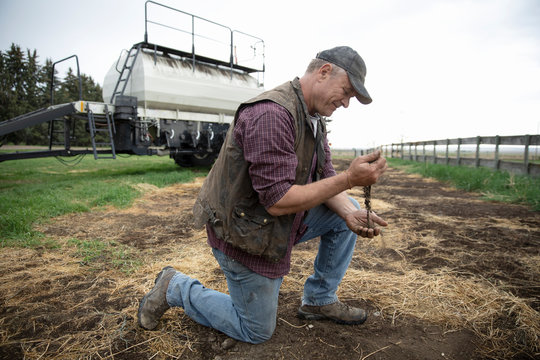 Male Farmer Examining Crop Soil On Farm