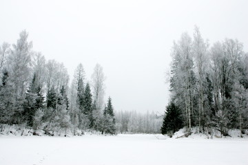 Winter landscape with snowy frost on a very high winter day