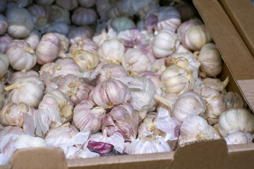 garlic sale of vegetables hypermarket