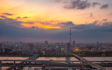 Tokyo City view at Dusk