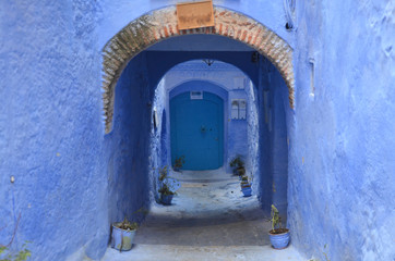 Chefchaouen, the blue city of Morocco. It’s famous for all the houses and shops painted different shades of blue. 