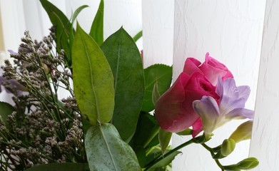 Bouquet 