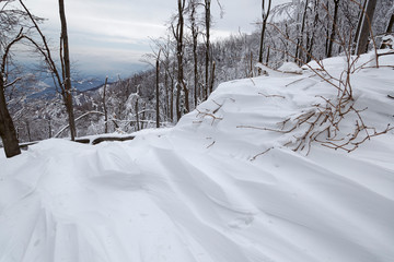 Snow in the forest of the Ivanščica Mountain, Croatia