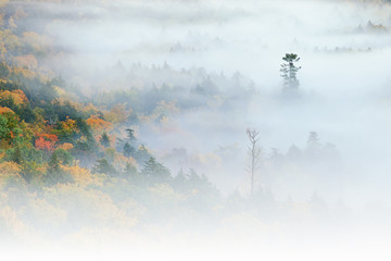 Foggy autumn landscape at sunrise, Lake of the Clouds, Porcupine Mountains Wilderness State Park, Michigan's Upper Peninsula, USA