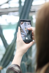 Exposition of tropical and subtropical cacti in a botanical garden,