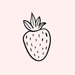 Strawberry. Vector linear illustration in doodle style. Freehand drawing.