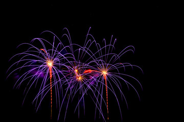 Beautiful colorful isolated firework display for celebration happy new year and merry christmas on black background