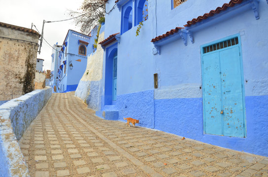 Chefchaouen, also known as Chaouen, is a city in northwest Morocco. It is the chief town of the province of the same name, and is noted for its buildings in shades of blue. 