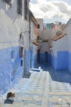 Chefchaouen, the blue city of Morocco. It’s famous for all the houses and shops painted different shades of blue. 