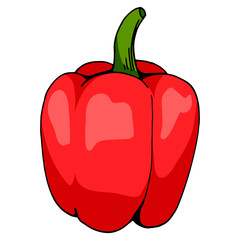 Big red pepper on white background. Isolate pepper for your design. Vector image.