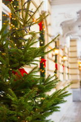 Christmas tree with lights next to the decorated facade of a beautiful European building.