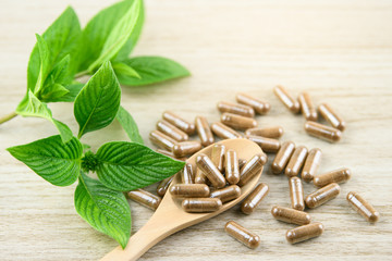 Herbal capsule from herbs nature for good health, vitamin, mineral supplement pills on wooden medical background with copy space, medicine and drug concept