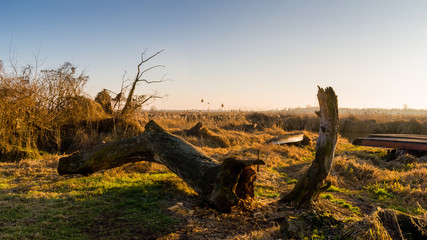 Narwiański Park Narodowy, Dolina Narwi, Podlasie, Polska © podlaski49