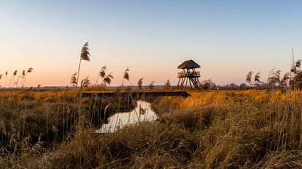 Narwiański Park Narodowy, Dolina Narwi, Podlasie, Polska © podlaski49