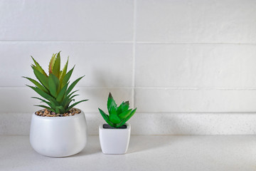 Artificial succulents in ceramic pots in the kitchen as interior decoration. Copy space
