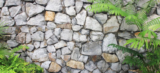 stone wall with ivy as background