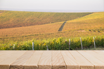 Fototapeta na wymiar sunny landscape of vineyard with green leaves and bottles of wine on table