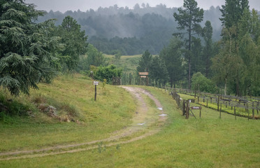 rainy afternoon in the mountains © osvaldo