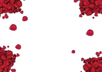 heart made of roses isolated on white