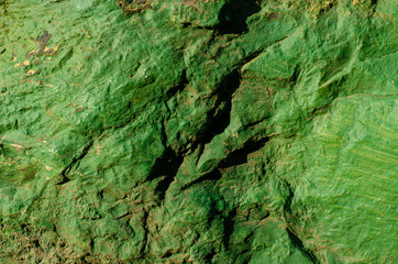 Old Wall Painting Colourfull, Green