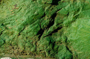 Old Wall Painting Colourfull, Green