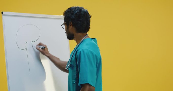 Young doctor drawing tree on flipchart