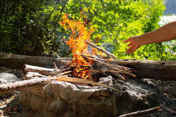 fire, close-up fire, tree burns