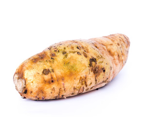 Studio shot a raw Asian sweet potato isolated on white
