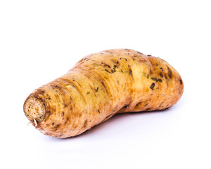 Studio shot a raw Asian sweet potato isolated on white