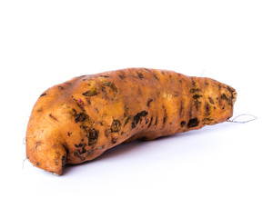 Studio shot a raw Asian sweet potato isolated on white