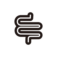 Intestine icon. Anatomy symbol. Organ pictogram, flat vector sign isolated on white background