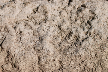stone texture, close-up, rock near the river