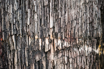 Obraz premium Rough texture pattern of the old black and white grunge stone surface, Strong structure durable nature of rock for abstract background