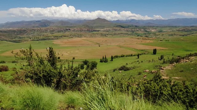 Maloti mountain range and farms in Free-state province near Clarens town and the Lesotho border. Roadside grass and flowers moving in the wind.